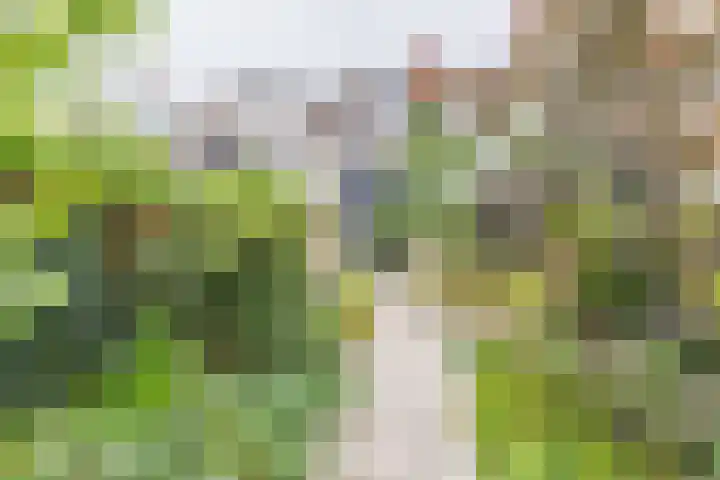 W. Vrijlandtstraat 9 Oud-Beijerland thumbnail 36