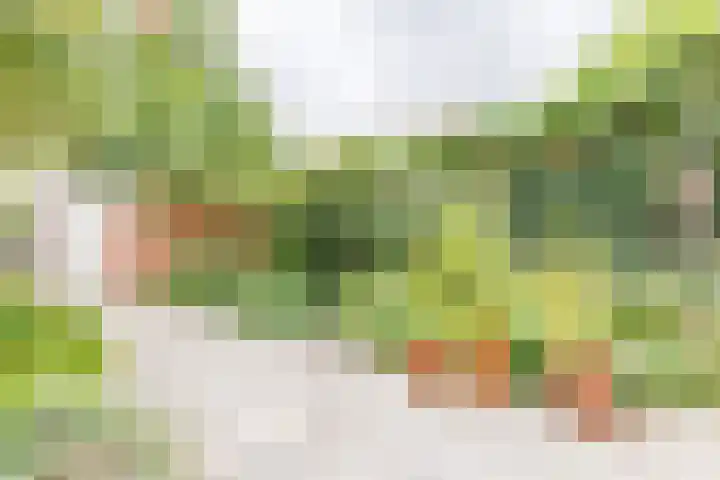 W. Vrijlandtstraat 9 Oud-Beijerland thumbnail 37