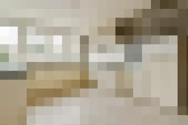 W. Warnaarlaan 21 Sassenheim thumbnail 13