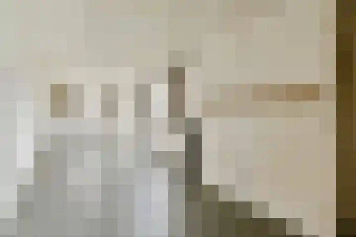 W. Warnaarlaan 21 Sassenheim thumbnail 15