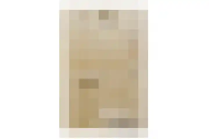 W. Warnaarlaan 21 Sassenheim thumbnail 18