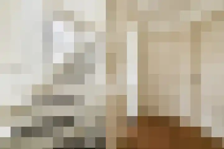 W. Warnaarlaan 21 Sassenheim thumbnail 19