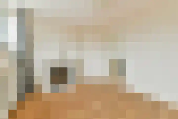 W. Warnaarlaan 21 Sassenheim thumbnail 25