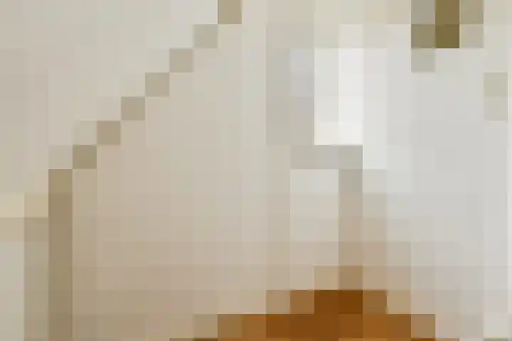 W. Warnaarlaan 21 Sassenheim thumbnail 26