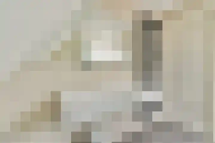 W. Warnaarlaan 21 Sassenheim thumbnail 31