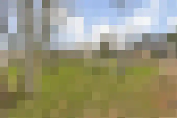 W. Warnaarlaan 21 Sassenheim thumbnail 36