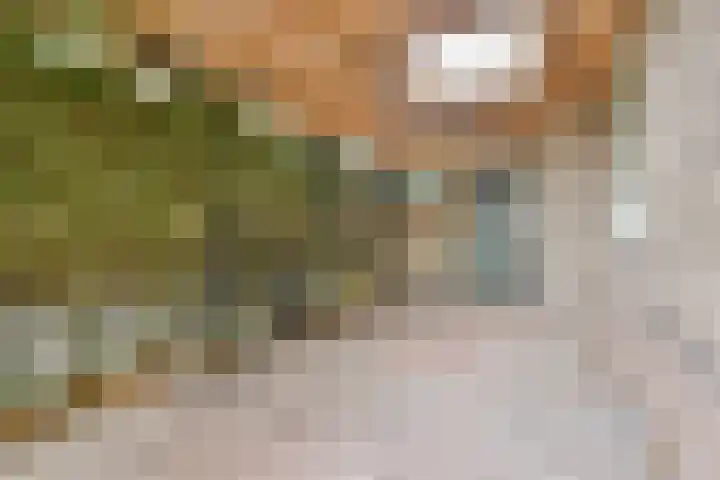 W. Warnaarlaan 21 Sassenheim thumbnail 4