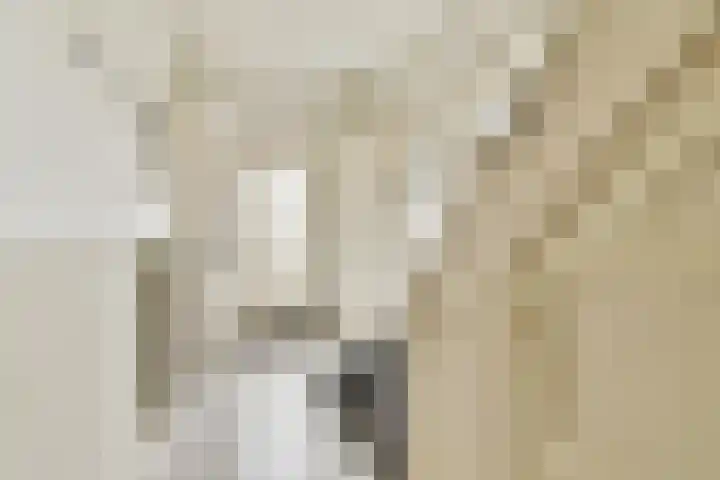W. Warnaarlaan 21 Sassenheim thumbnail 5