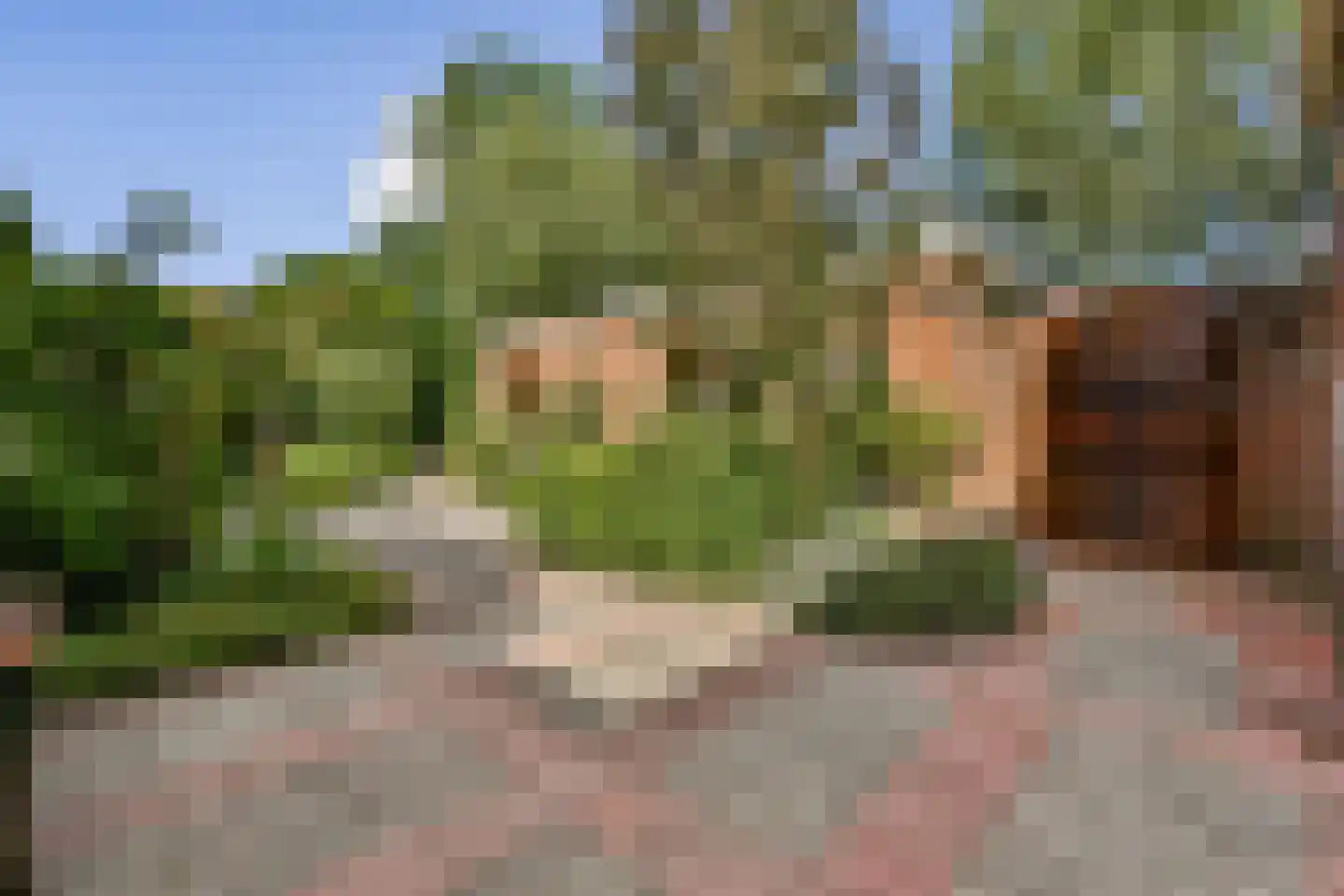 W. Warnaarlaan 34 Sassenheim thumbnail 11