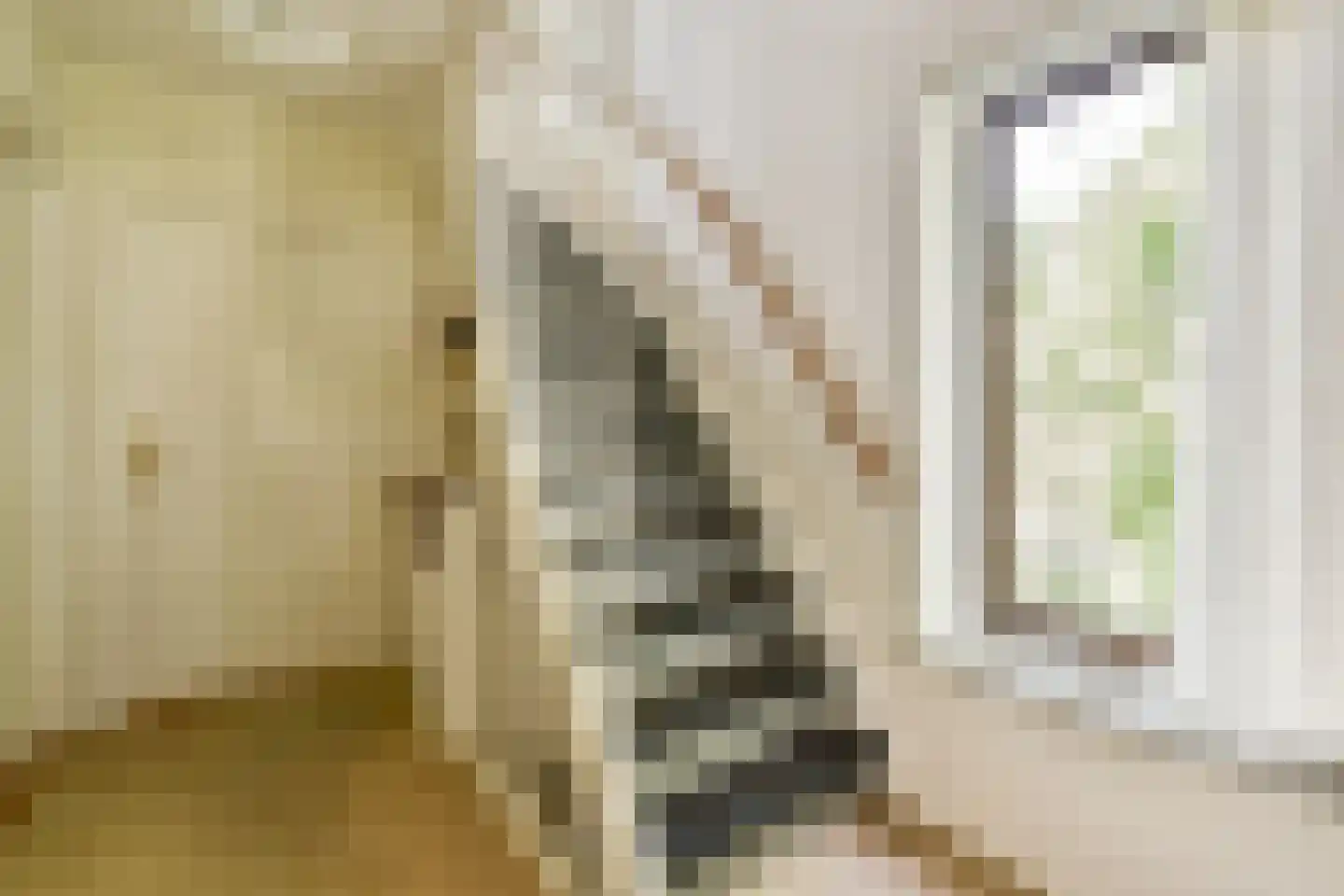 W. Warnaarlaan 34 Sassenheim thumbnail 20