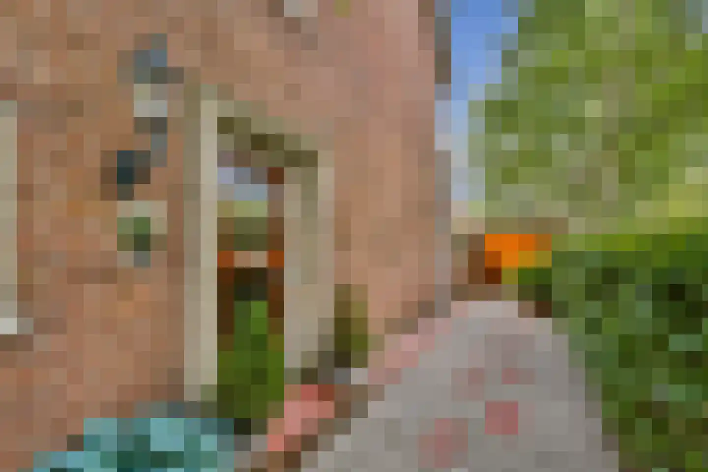 W. Warnaarlaan 34 Sassenheim thumbnail 4