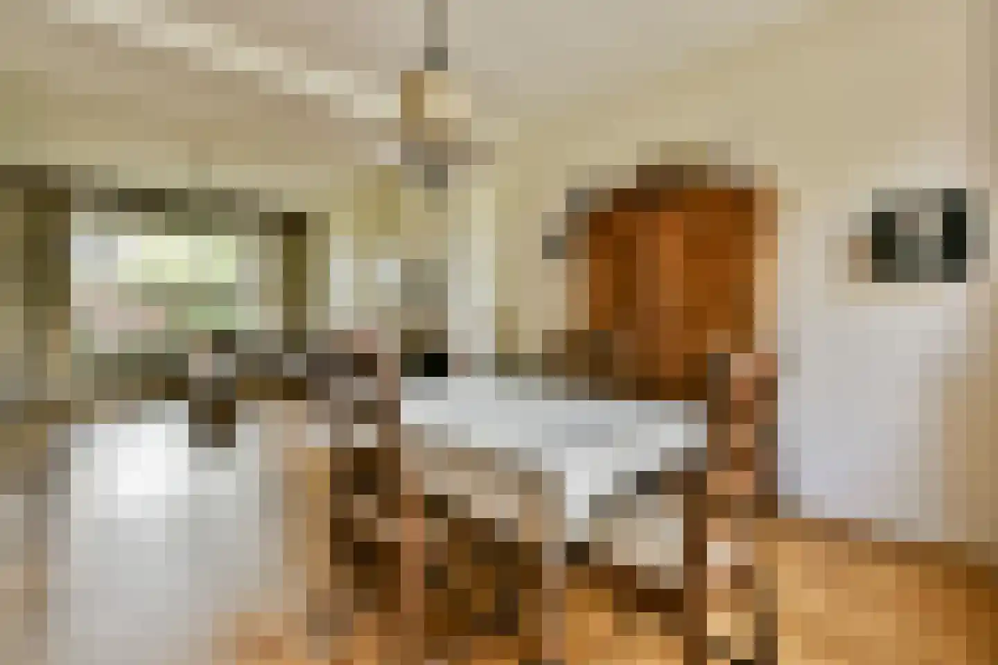 W. Warnaarlaan 34 Sassenheim thumbnail 5