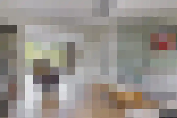 W. Warnaarlaan 66 Sassenheim thumbnail 13