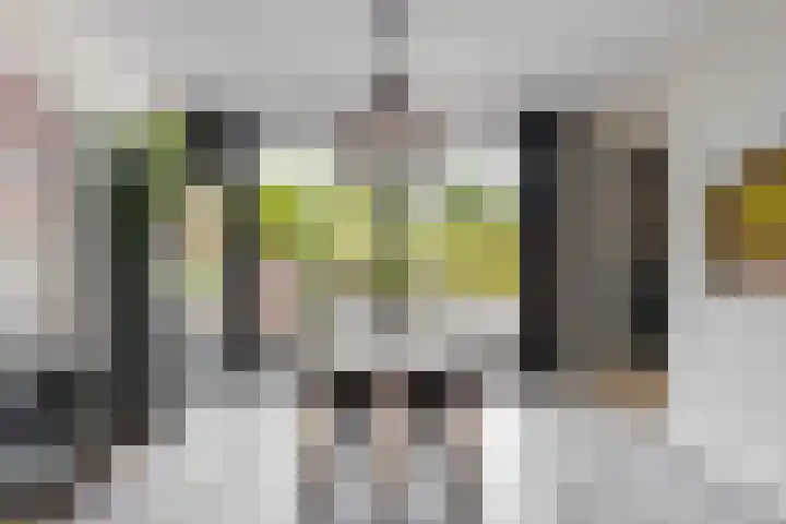 W. Warnaarlaan 66 Sassenheim thumbnail 16