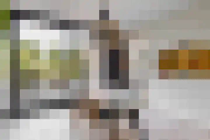 W. Warnaarlaan 66 Sassenheim thumbnail 17