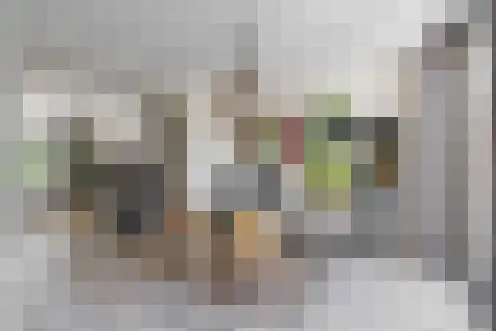 W. Warnaarlaan 66 Sassenheim thumbnail 18