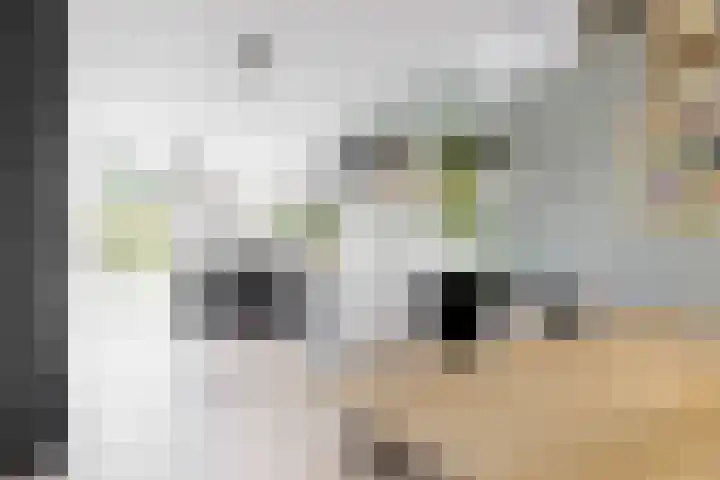 W. Warnaarlaan 66 Sassenheim thumbnail 19