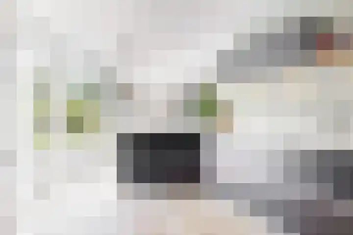 W. Warnaarlaan 66 Sassenheim thumbnail 4