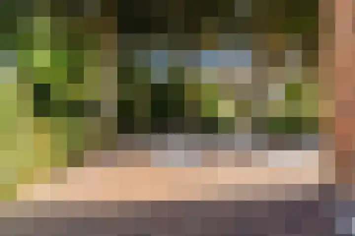 W. Warnaarlaan 66 Sassenheim thumbnail 53