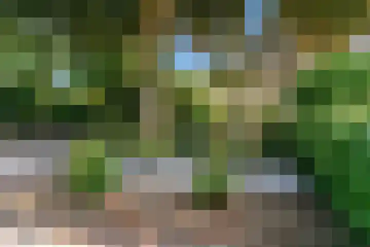 W. Warnaarlaan 66 Sassenheim thumbnail 56