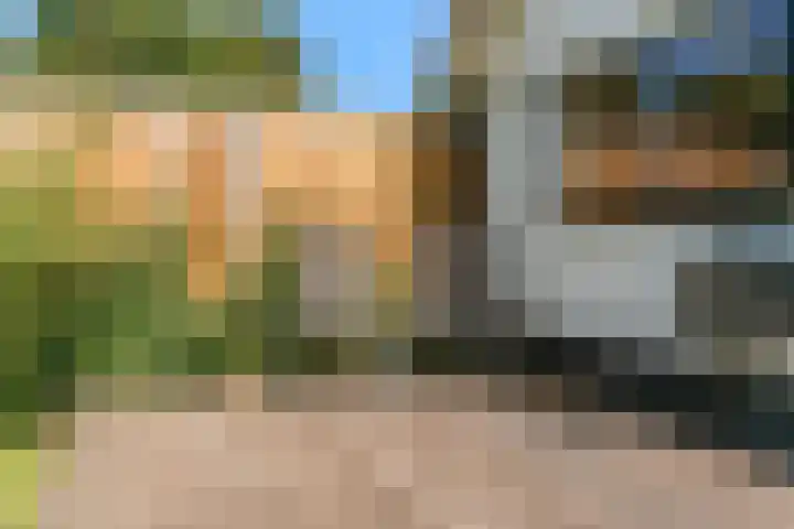 W. Warnaarlaan 66 Sassenheim thumbnail 61