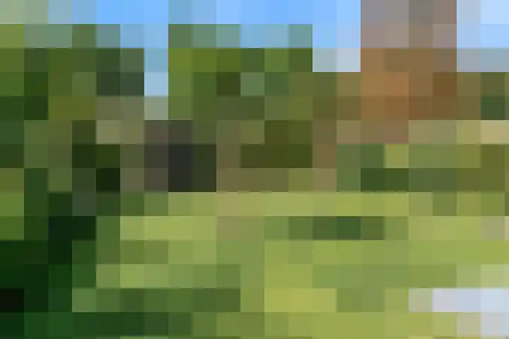 W. Warnaarlaan 66 Sassenheim thumbnail 63