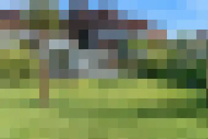 W. Warnaarlaan 66 Sassenheim thumbnail 64