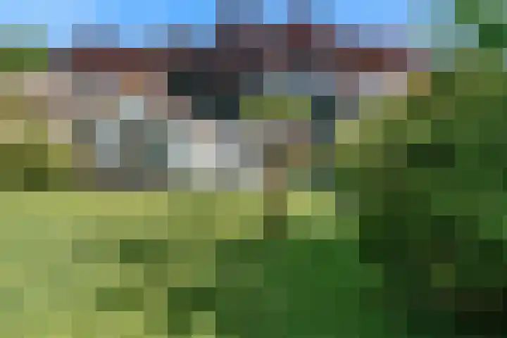 W. Warnaarlaan 66 Sassenheim thumbnail 65