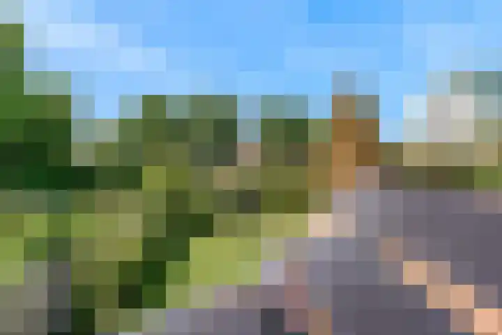 W. Warnaarlaan 66 Sassenheim thumbnail 66