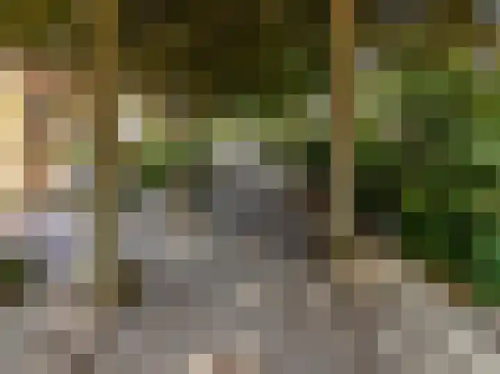 W. Warnaarlaan 66 Sassenheim thumbnail 67