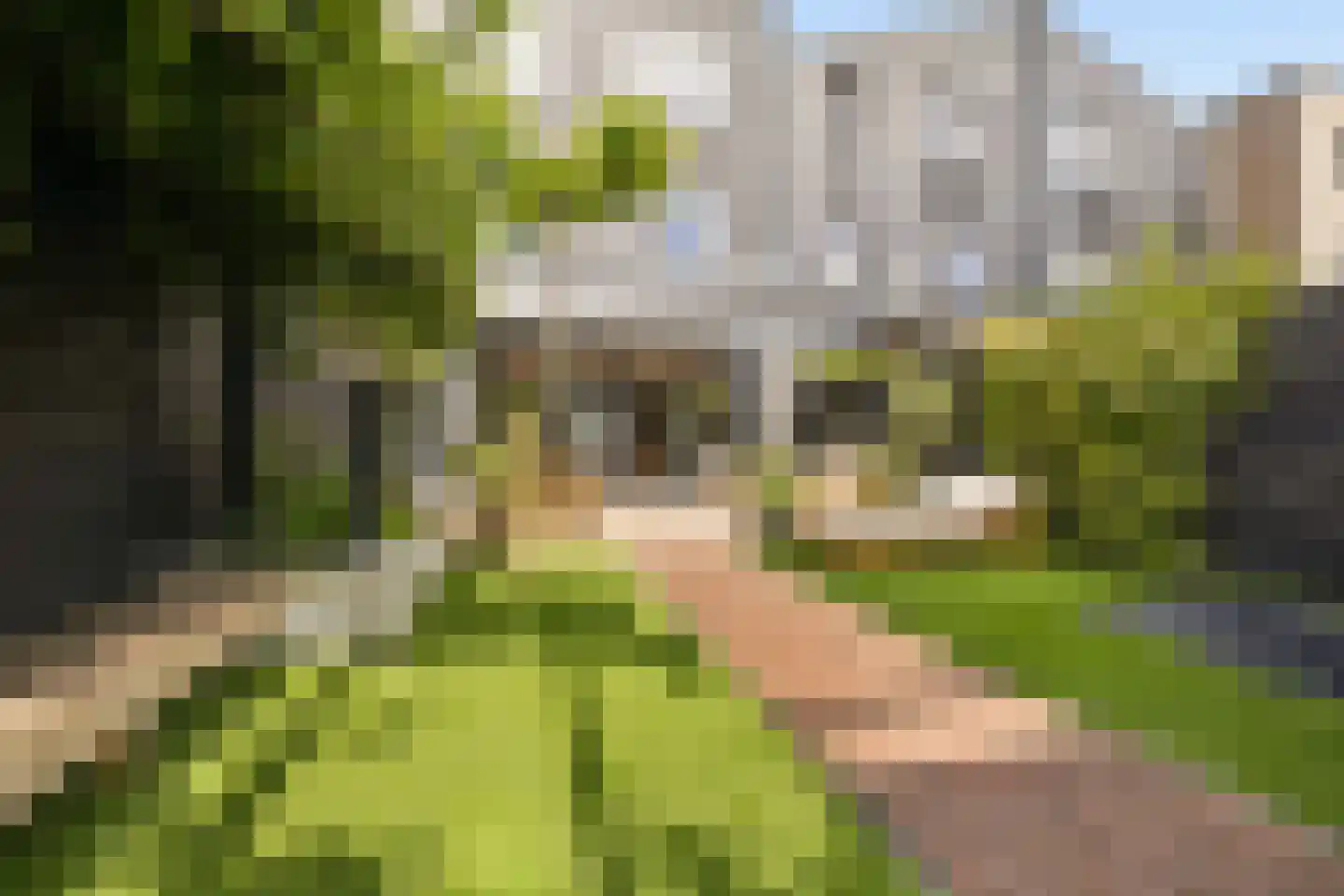 Waadse Poldergracht 12 Muiden thumbnail 47