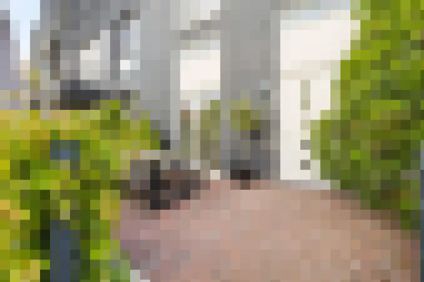 Waadse Poldergracht 12 Muiden thumbnail 7