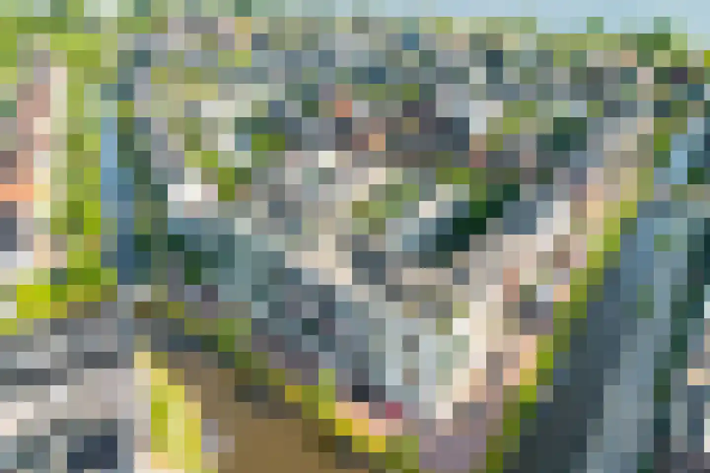 Waadse Poldergracht 5 Muiden thumbnail 27