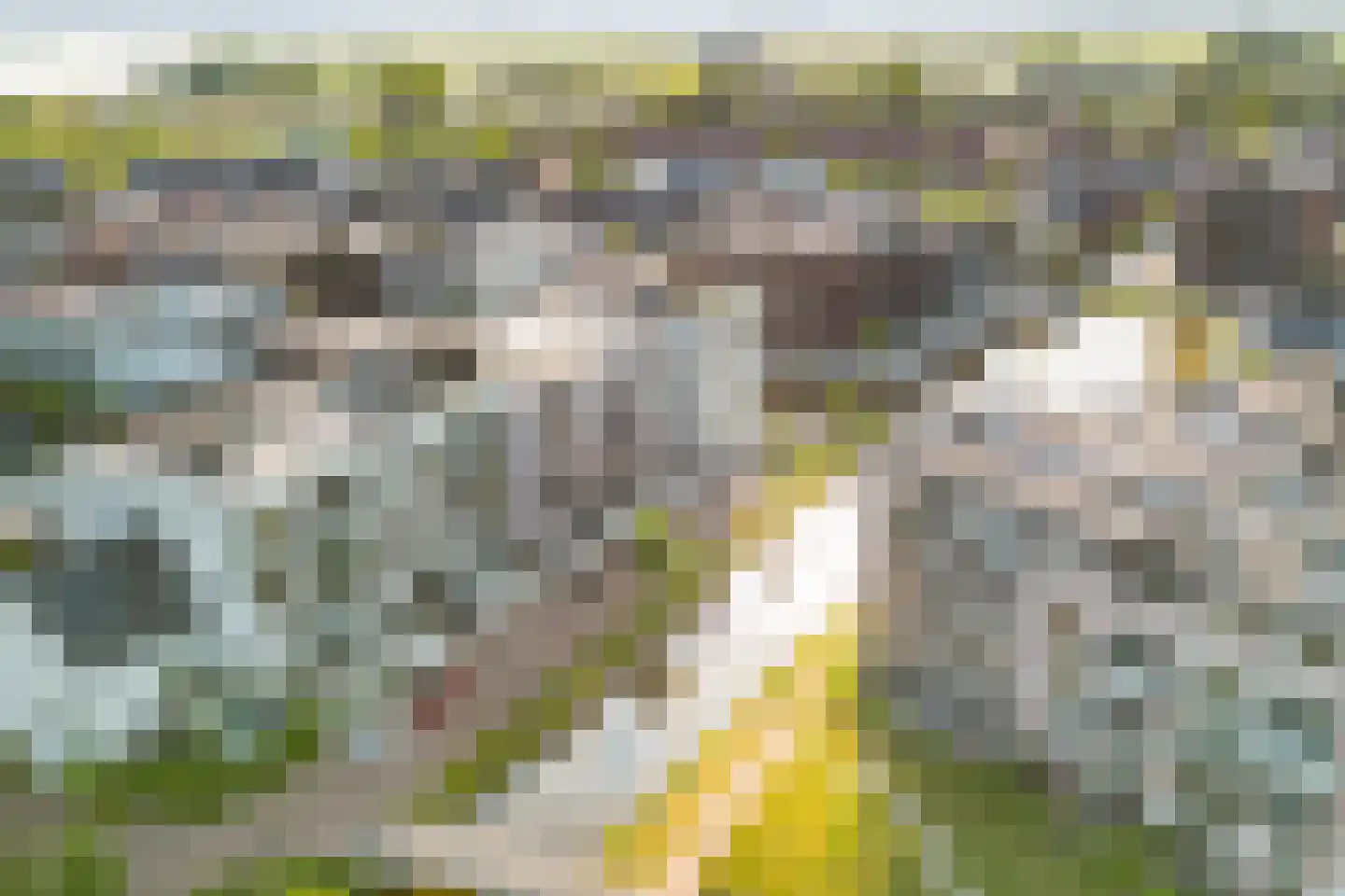 Waadse Poldergracht 5 Muiden thumbnail 41