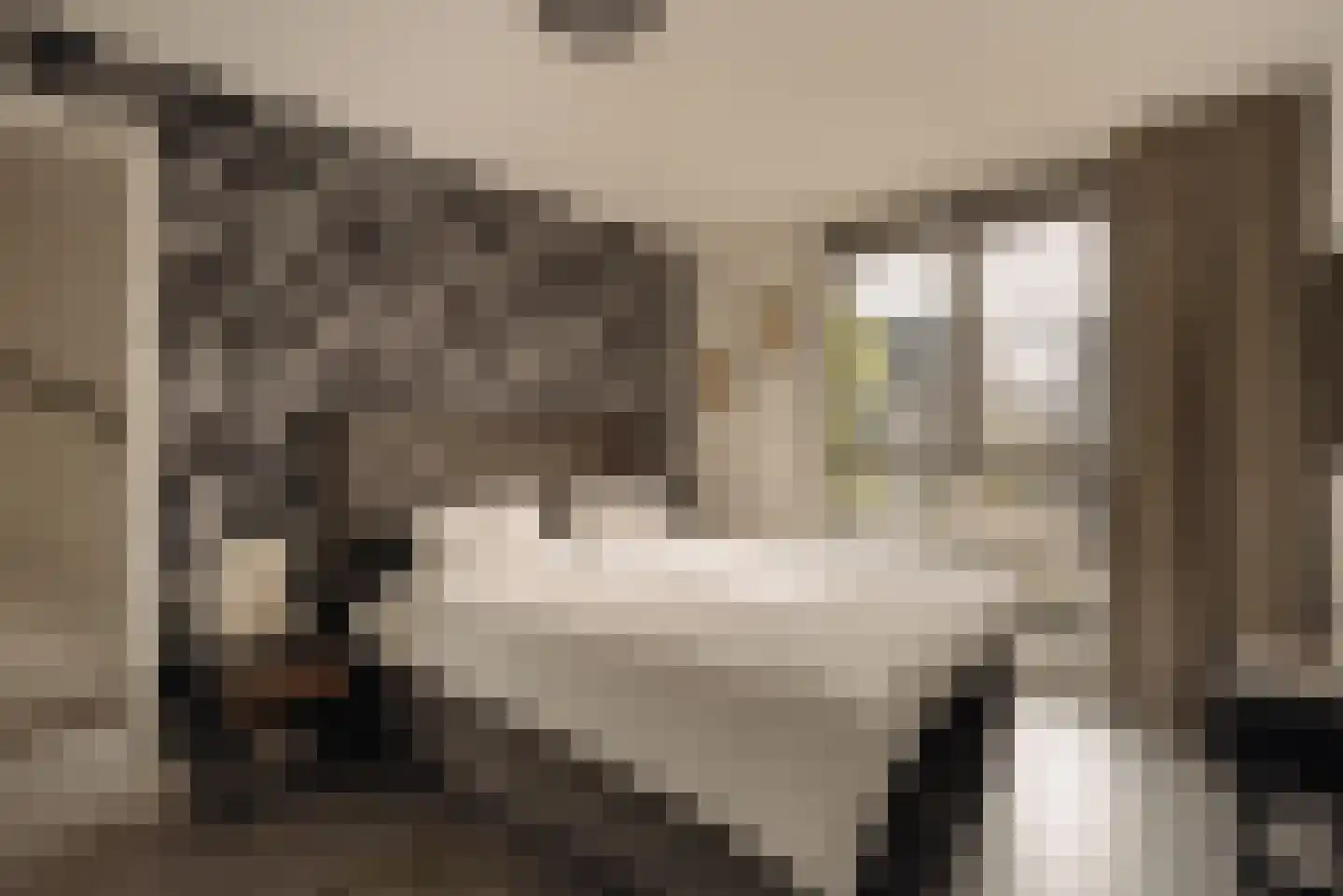 Waadse Poldergracht 73 Muiden thumbnail 13