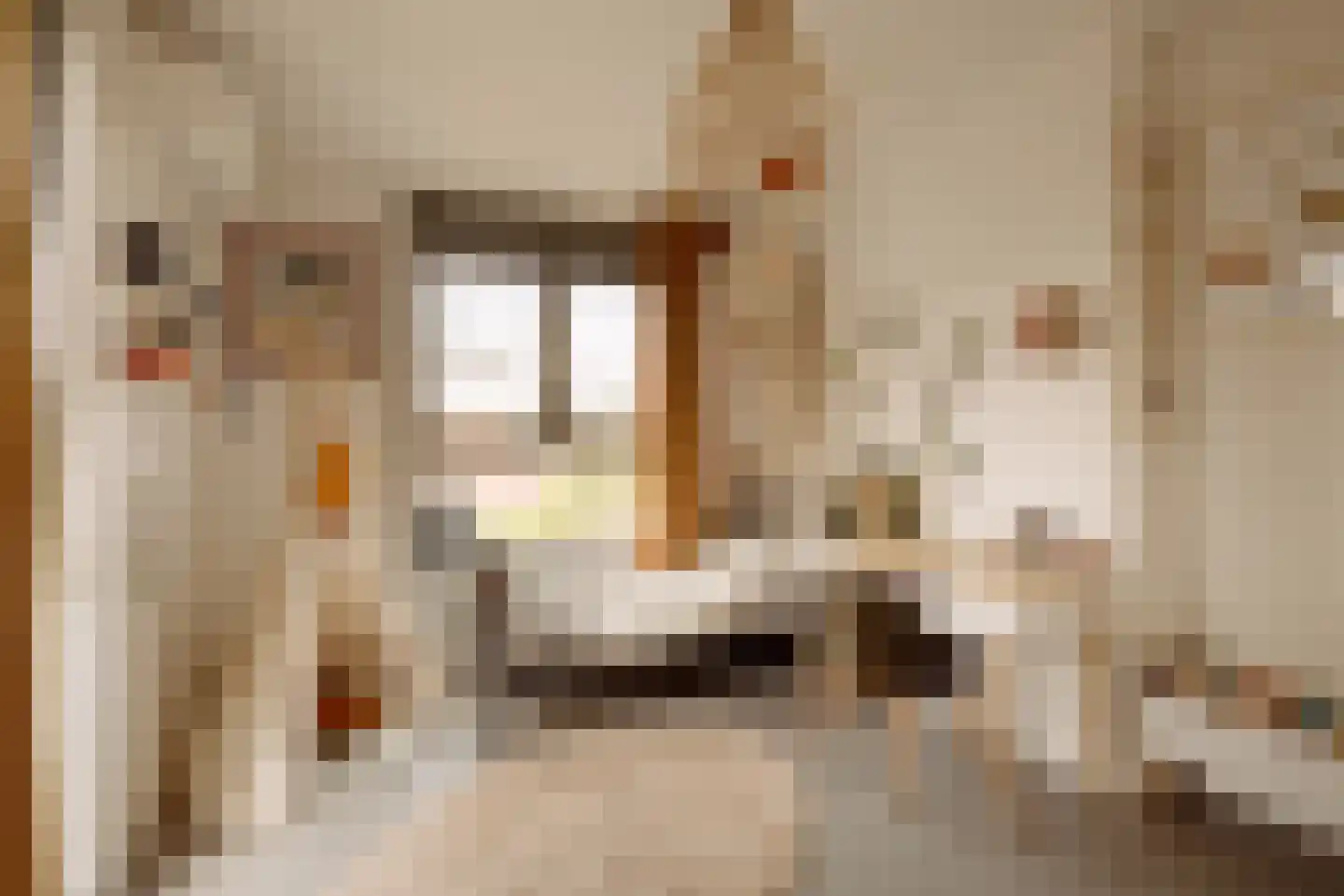 Waadse Poldergracht 73 Muiden thumbnail 16