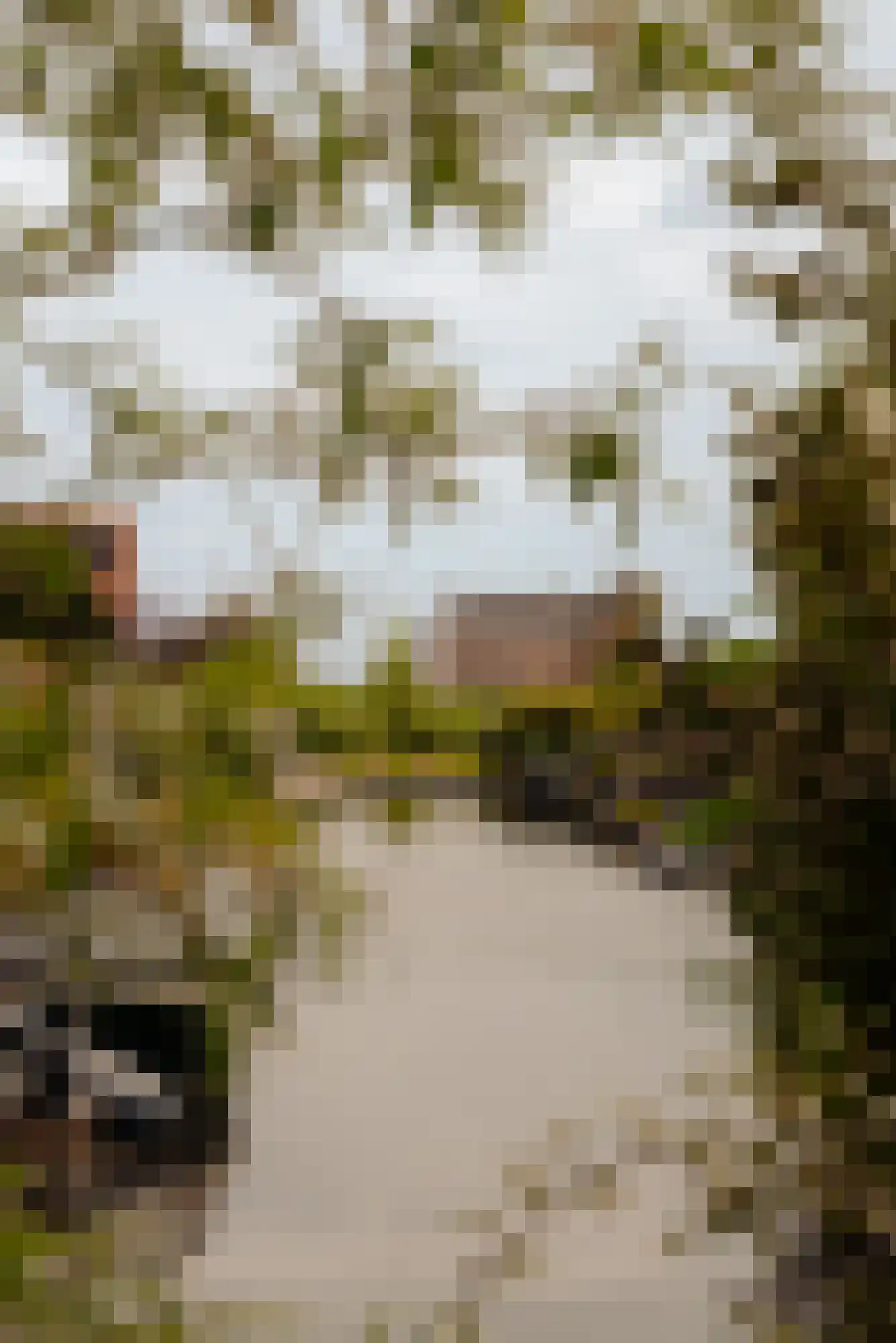 Waadse Poldergracht 73 Muiden thumbnail 41