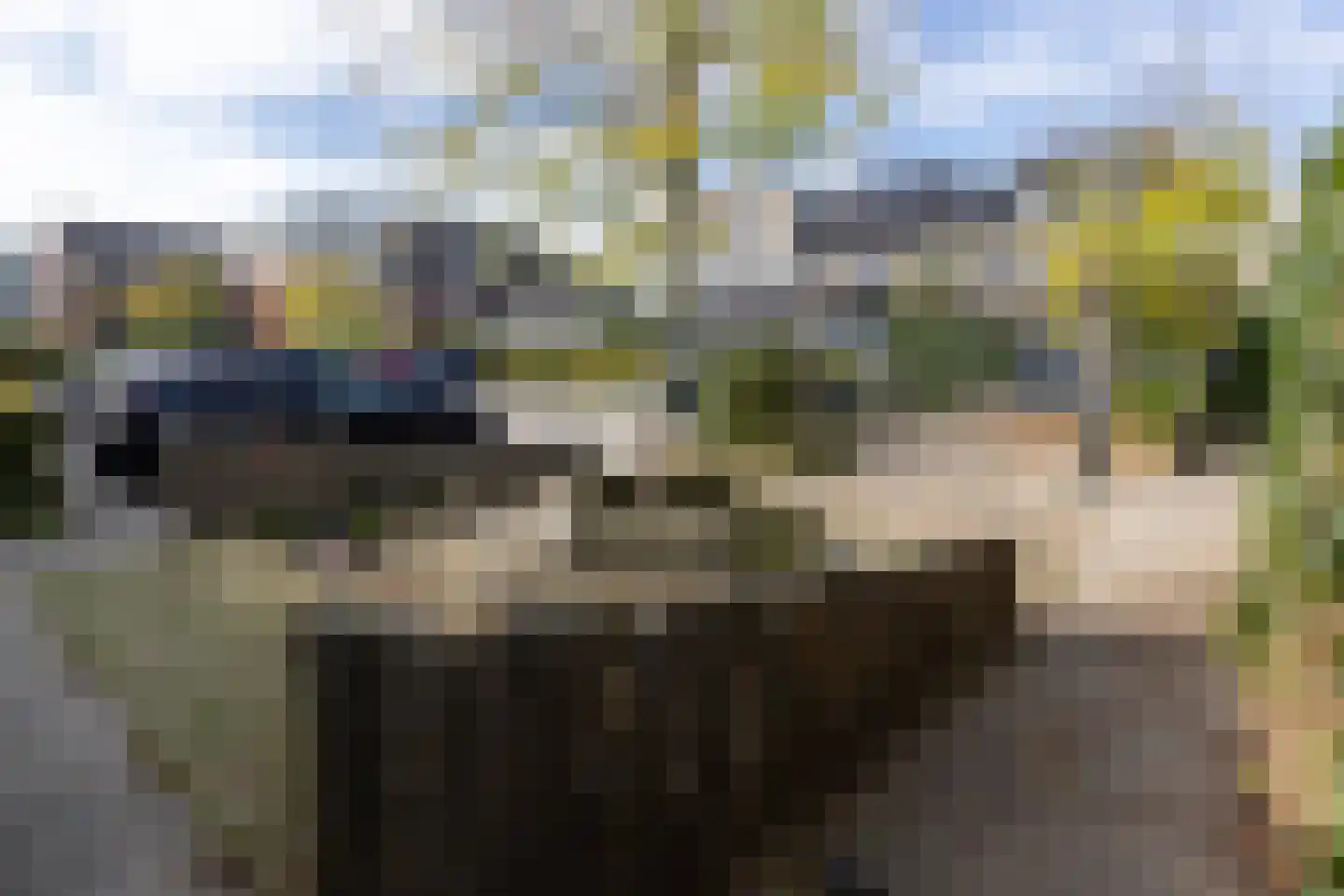 Waadse Poldergracht 89 Muiden thumbnail 48