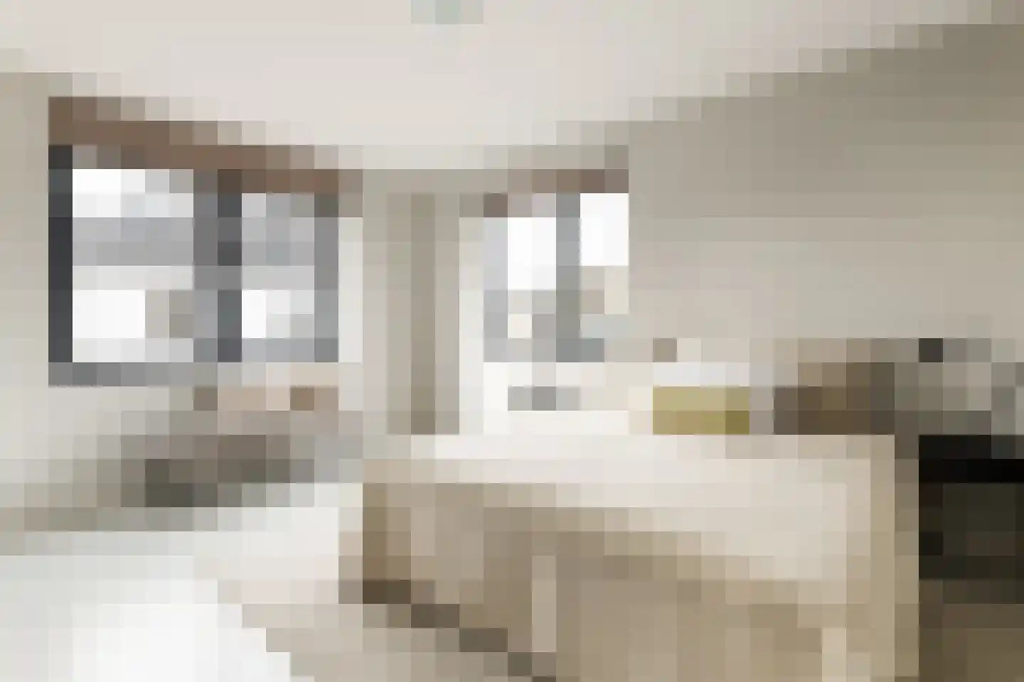 Waadse Poldergracht 91 Muiden thumbnail 23