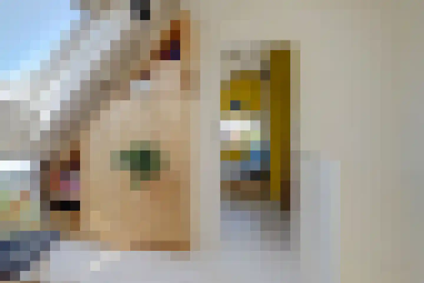 Waag 50 Wijk bij Duurstede thumbnail 52