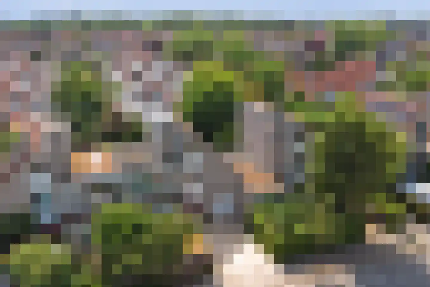 Waag 50 Wijk bij Duurstede thumbnail 66