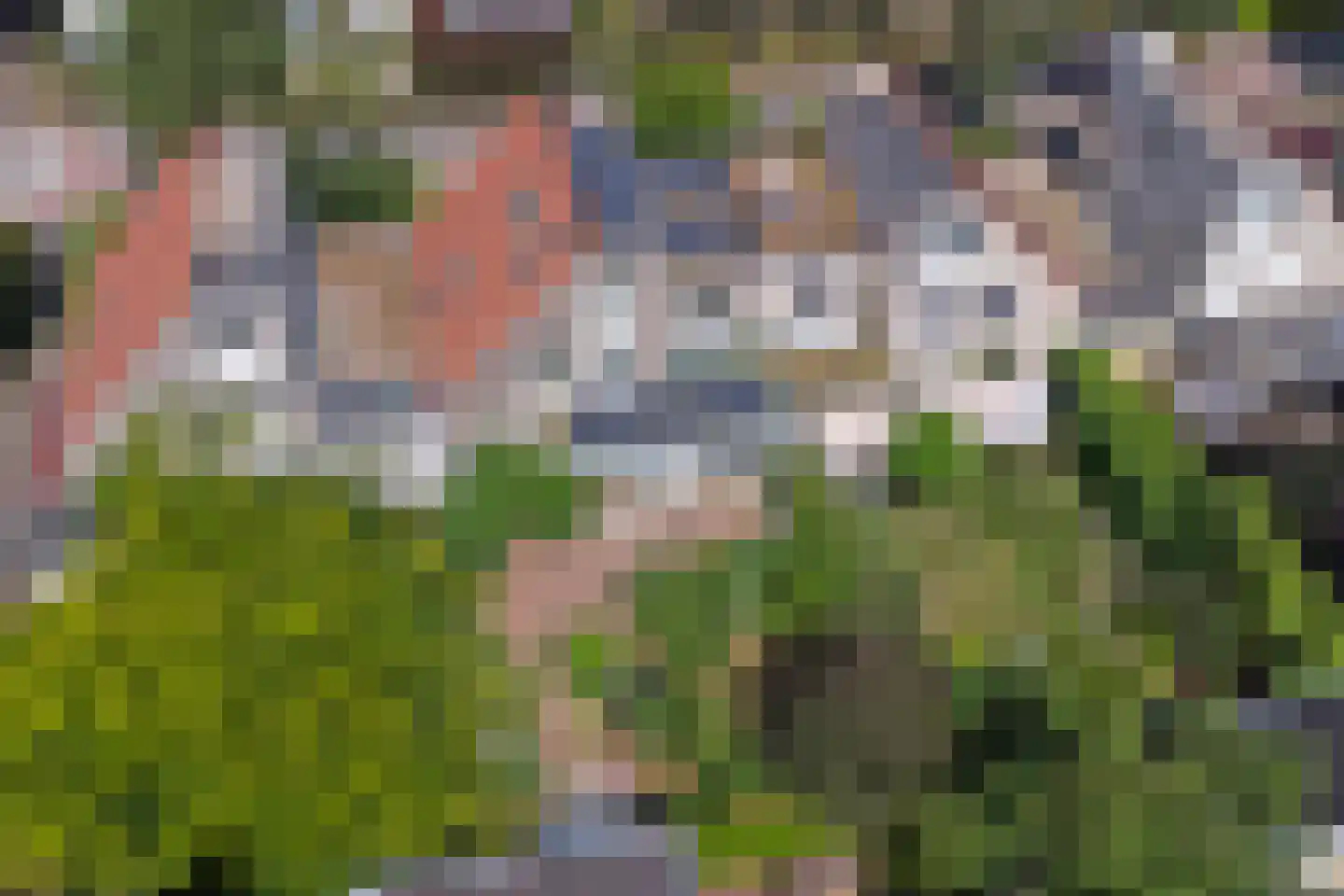 Waag 50 Wijk bij Duurstede thumbnail 67