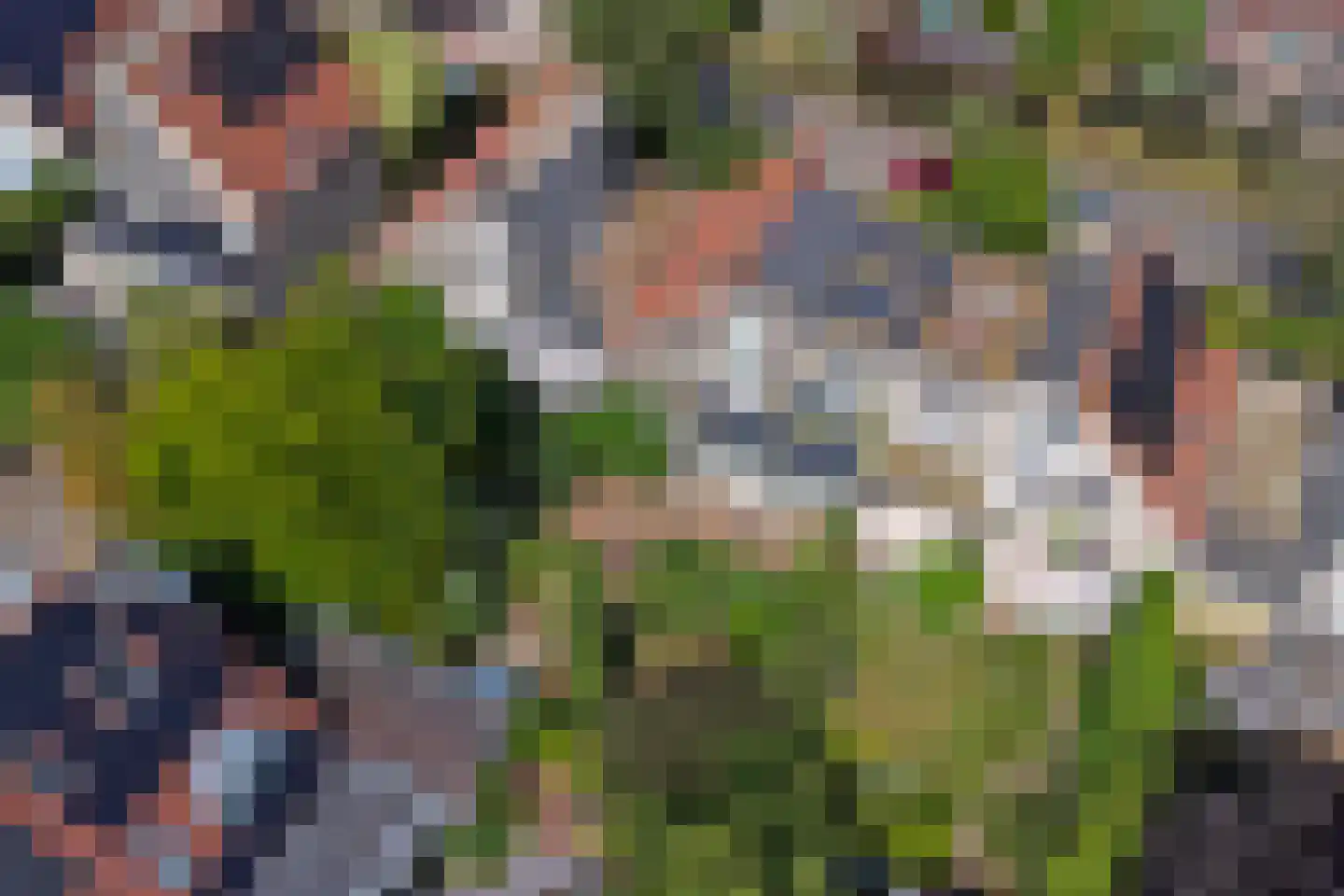 Waag 50 Wijk bij Duurstede thumbnail 68