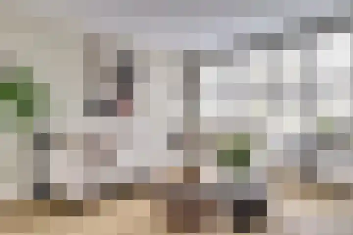 Waag 60 Wijk bij Duurstede thumbnail 4