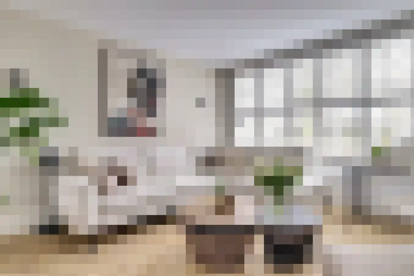 Waag 60 Wijk bij Duurstede thumbnail 4