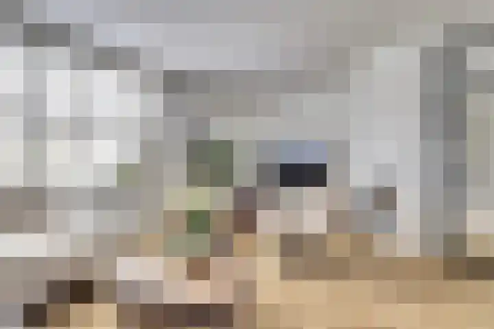 Waag 60 Wijk bij Duurstede thumbnail 5