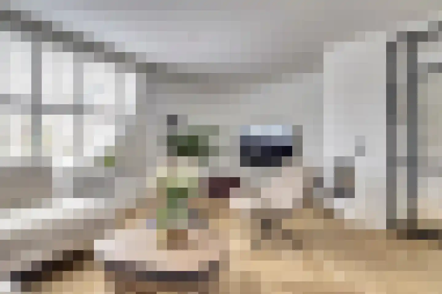 Waag 60 Wijk bij Duurstede thumbnail 5
