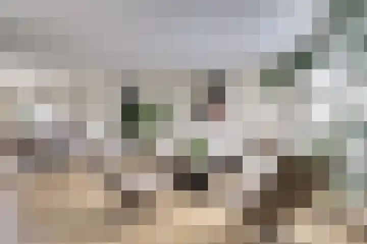 Waag 60 Wijk bij Duurstede thumbnail 6