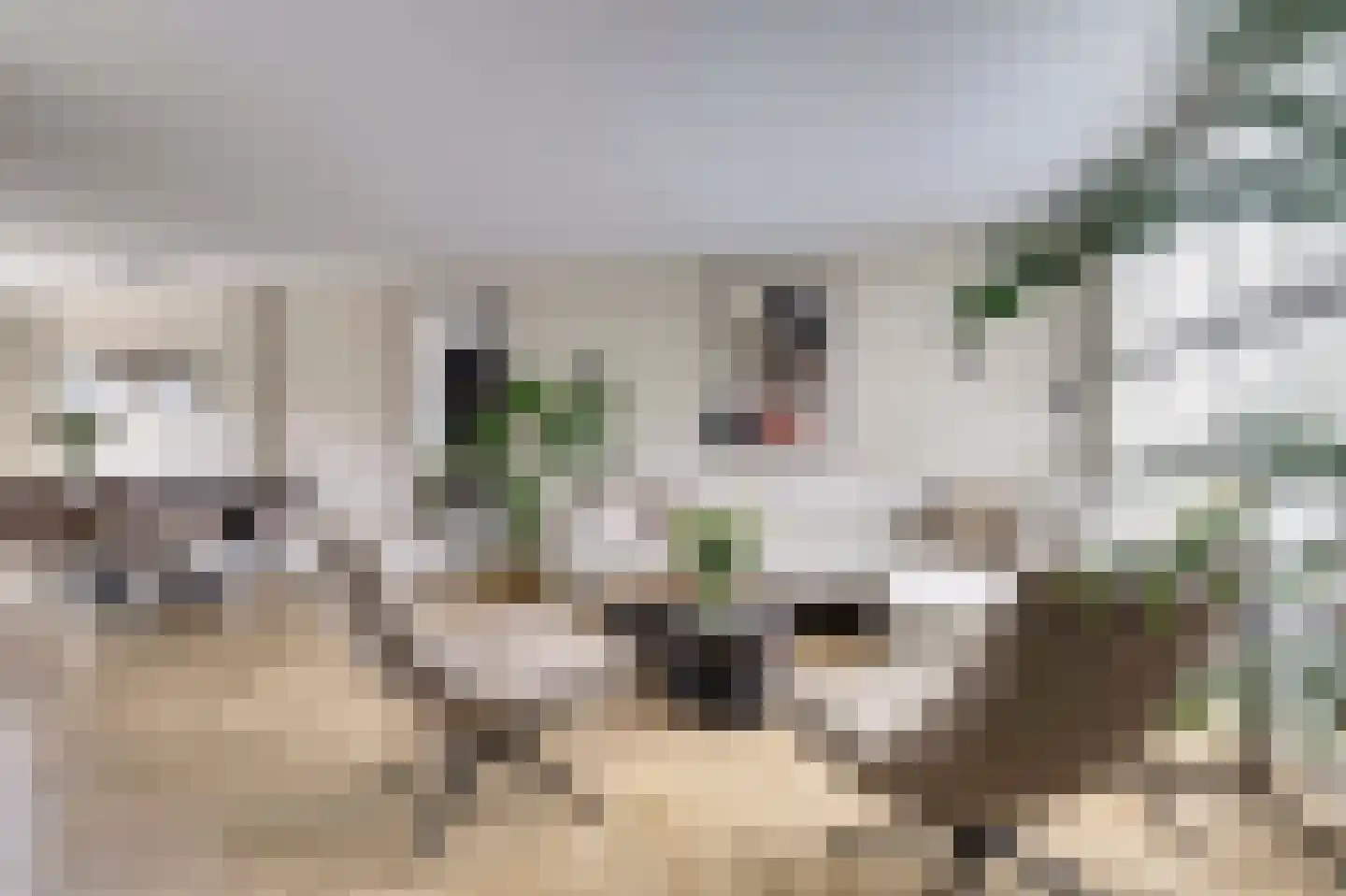 Waag 60 Wijk bij Duurstede thumbnail 6