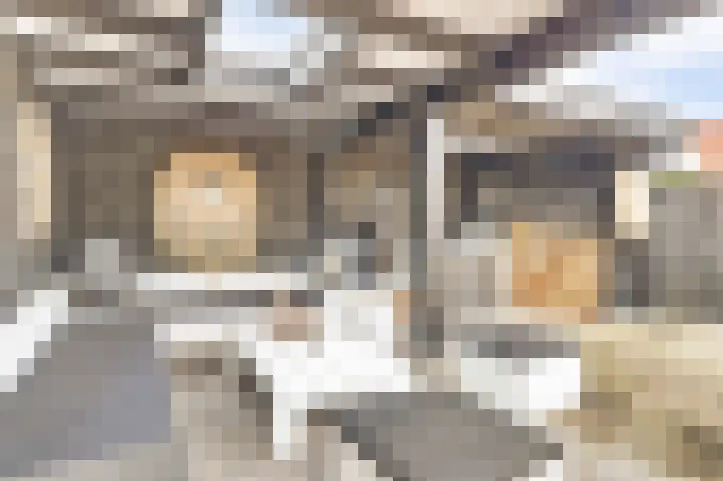 Waag 60 Wijk bij Duurstede thumbnail 64